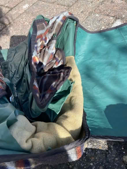 Photo of free Picnic blanket (Wallands Park BN7) #3