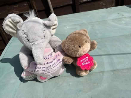 Photo of free Elephant & teddy for mum (Tyseley B11) #3