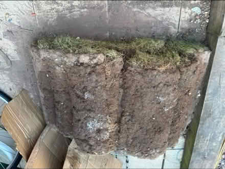 Photo of free 10 rolls of turf (Worcester Park KT4) #2