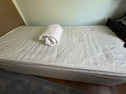 Photo of free Single bed (Cooden TN39) #1