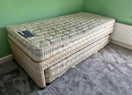 Photo of free Single bed with trundle (Northampton, Kingsthorpe NN2) #1