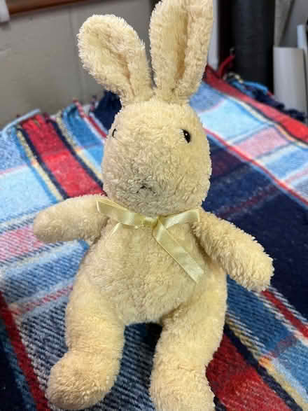 Photo of free Soft toy - bunny (Westbrook WA5) #1