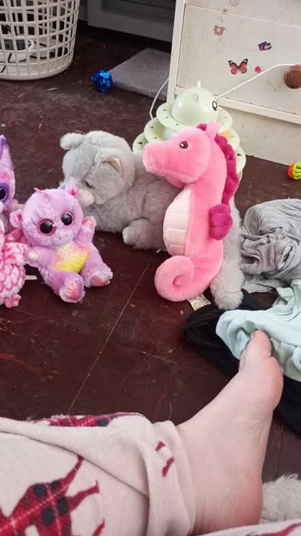 Photo of free Teddy's (NG5 9NY) #2