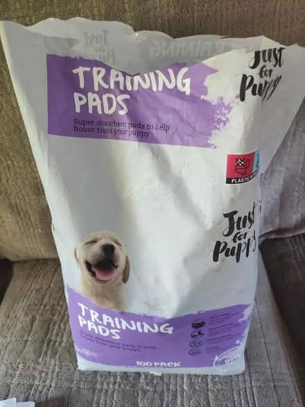 Photo of free puppy training pads (Woking GU22) #1