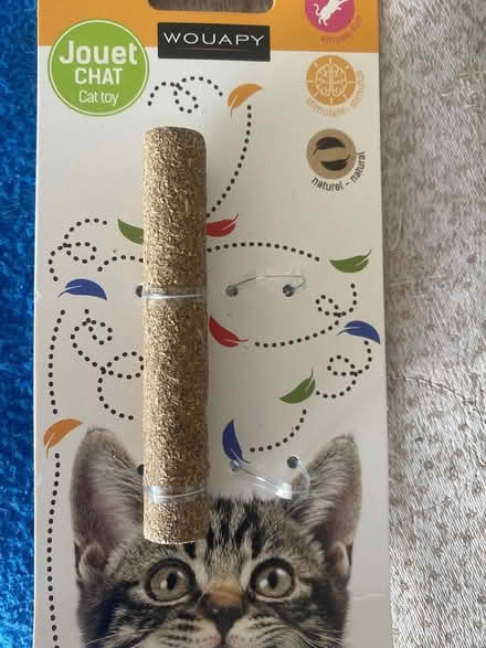 Photo of free Cat toy with catnip (Cabbagetown) #1