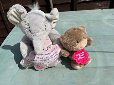 Photo of free Elephant & teddy for mum (Tyseley B11) #1