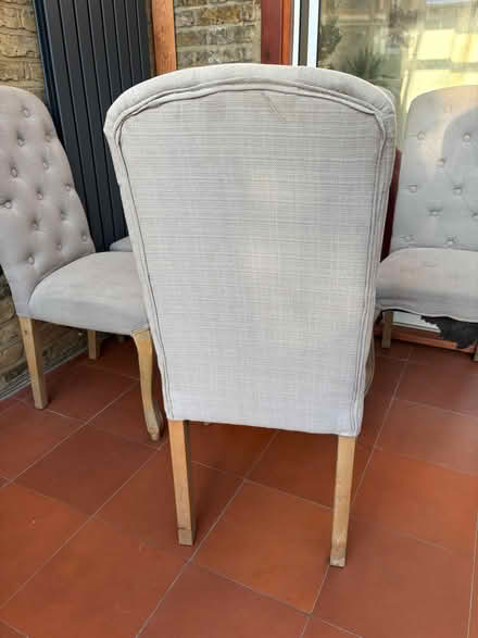 Photo of free Six upholstered dining chairs (Ealing W13) #2