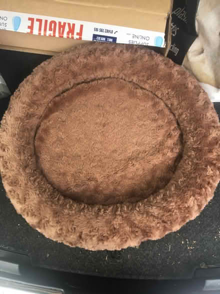 Photo of free Cat or small dog bed (Faversham ME13) #1