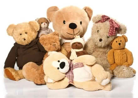 Photo of 🧸 Call for Stuffed Animals! (Mountain view) #1