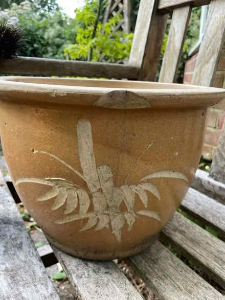 Photo of free Plant pot (Mays Green RG9) #2