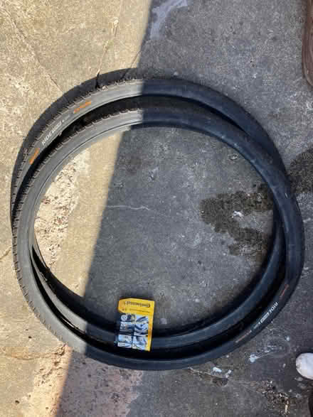 Photo of free Cycling items, all to go together (East dean) #3