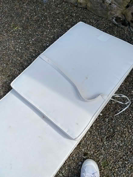Photo of free Rattan lounger seat pad (Skelton CA11) #2