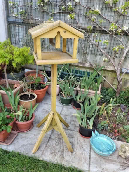 Photo of free Bird Table (Dyke Road area BN1) #1