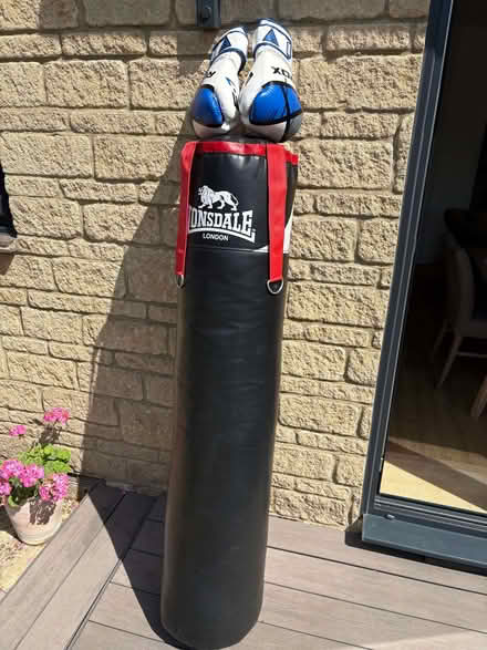 Photo of free Punch bag and large size gloves (Chippenham SN14) #2