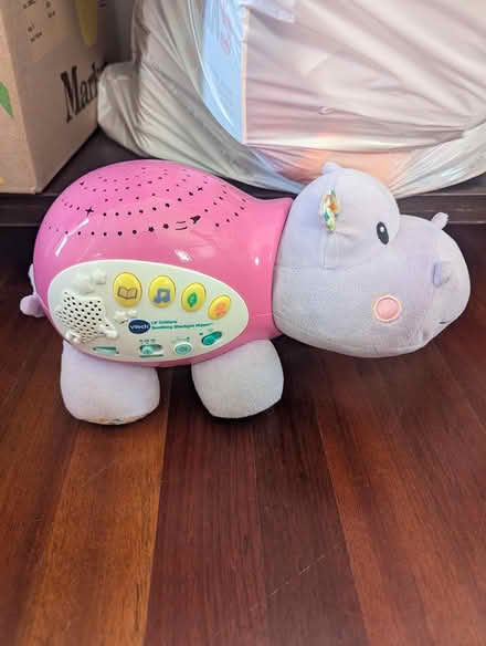 Photo of free Musical hippo (63rd& main, DG) #1