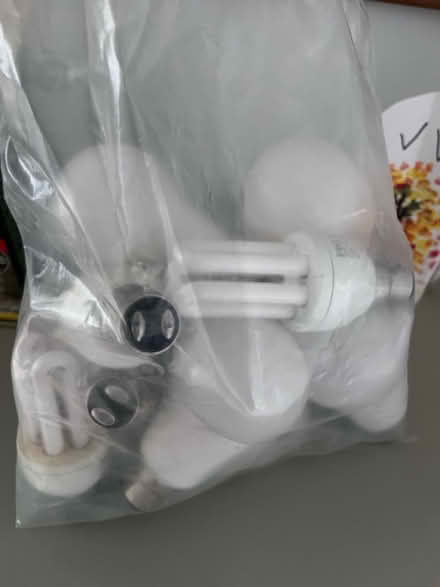 Photo of free Light bulbs (Bruntsfield EH10) #1