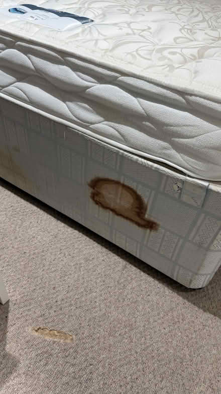 Photo of free Double divan bed and mattress (Lavender Hill SW11) #4
