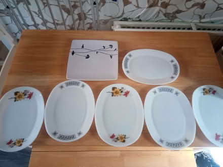 Photo of free Large dinner plates (Belle Isle LS10) #1