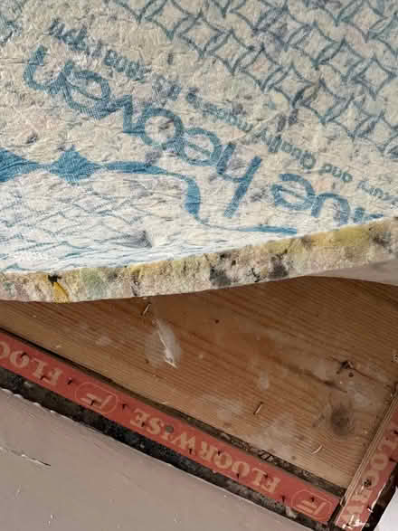 Photo of free Underlay (Poole BH14) #2