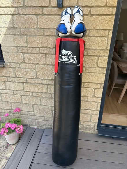Photo of free Punch bag and large size gloves (Chippenham SN14) #1