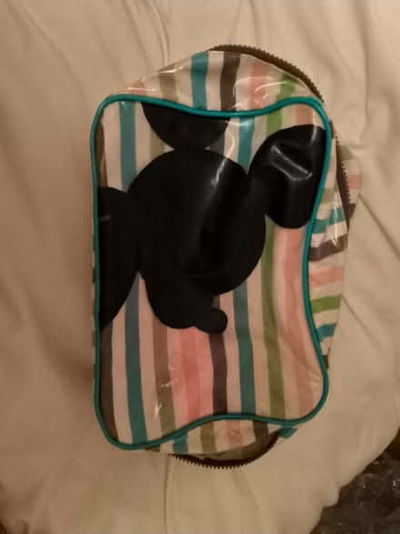 Photo of free Different bags (Southend SS2) #3
