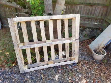 Photo of free Good wooden pallets (Bexhill on Sea TN40) #1