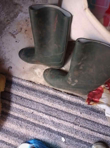 Photo of free Ladies green wellingtons (Wem SY4) #1