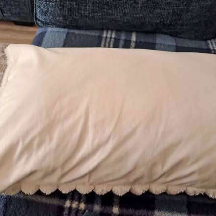 Photo of free 2 Faux Fur White Cushion Covers (Old Town TN40) #2