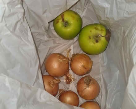 Photo of free Onions, Apples (Levenshulme M19) #1