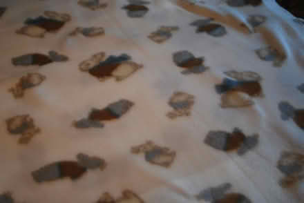 Photo of free Anti-Pill Fleece, see description (gatineau ave & de bourgogne st) #3