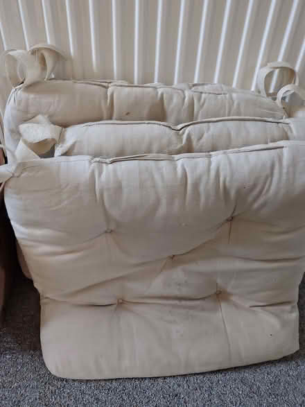 Photo of free Kitchen chair cushions (Dyke Road area BN1) #1