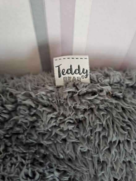Photo of free V Pillow with 'Teddy Bear' cover (Harefield SO19) #2