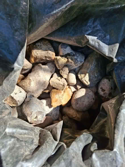 Photo of free Half a bag of large stones (Lightwater GU18) #1