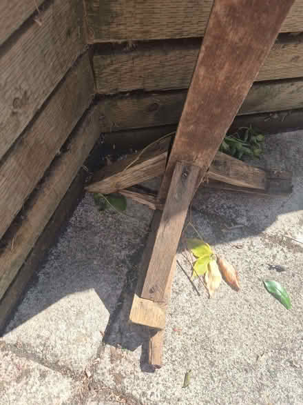 Photo of free Bird Table (Sudbury CO10) #3