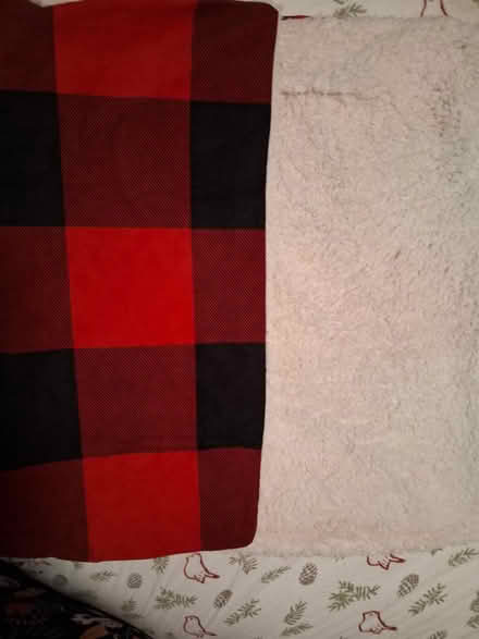Photo of free Queen Size Bedding (Wilkinson Blvd/Morris Field) #1