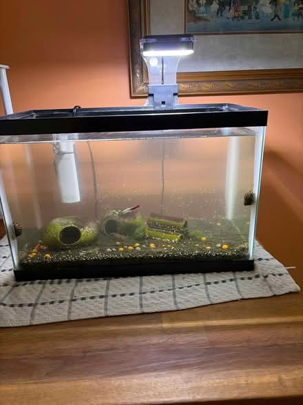 Photo of free Fish tank and all contents (Oxford) #1