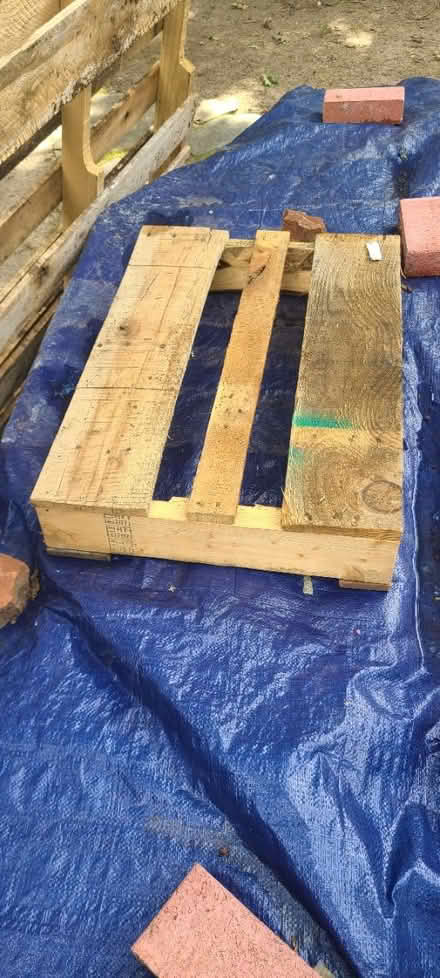 Photo of free Wooden Pallets (4) (Lake Daniel, Greensboro) #1