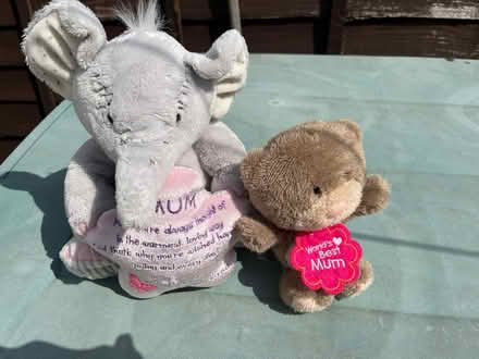 Photo of free Elephant & teddy for mum (Tyseley B11) #2