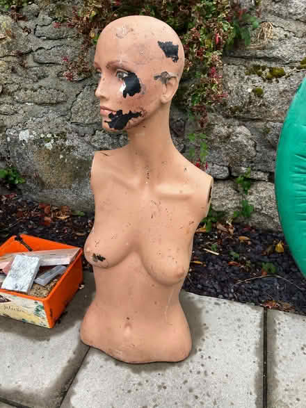 Photo of free Mannequin Torso (Pendeen TR19) #1