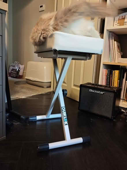 Photo of free Quiklok piano stool (white) (Clifton BS8) #3