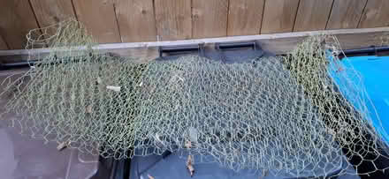 Photo of free Chicken wire (Harrogate HG1) #1