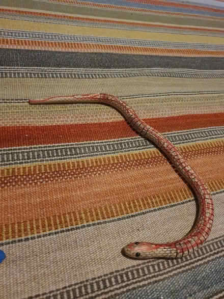 Photo of free Wooden bendy snake (Fishponds BS16) #1