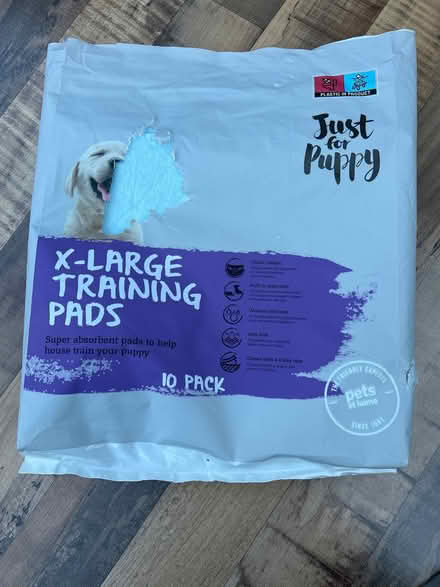 Photo of free Puppy training pads (Twickenham TW2) #1