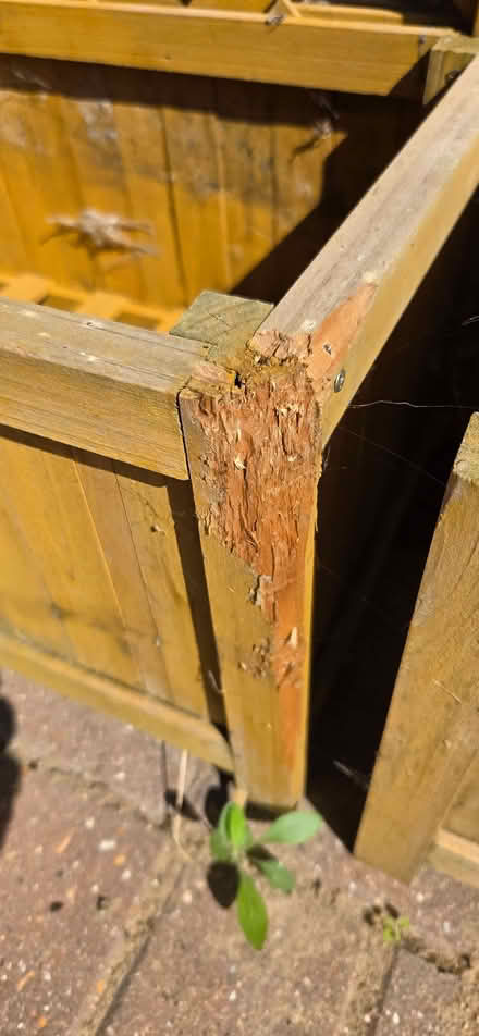 Photo of free Lattice Wooden Garden Planters x2 (Oare ME13) #3