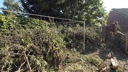 Photo of free wood (Sheffield Lane Top S5) #4