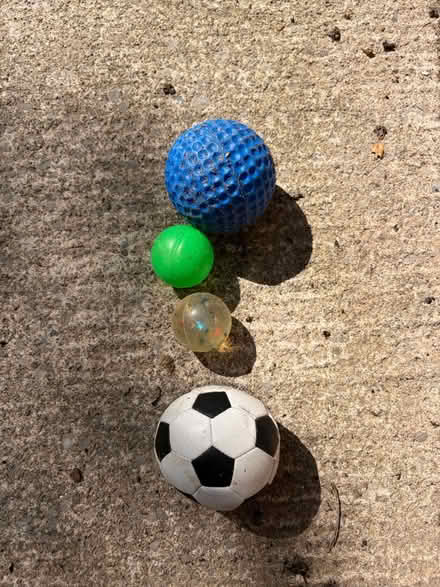 Photo of free Four balls (Westbury Wilts BA13) #1