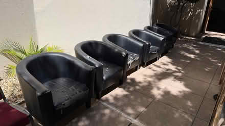 Photo of free church courtyard giveaway (Lake Merritt) #3
