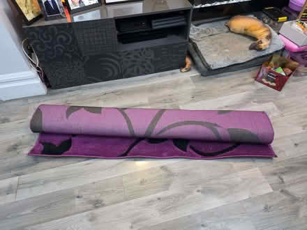 Photo of free Beautiful rug in great condition (Acocks Green B27) #3
