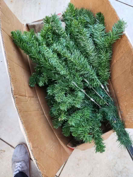 Photo of free Christmas Tree (Church RG2) #2