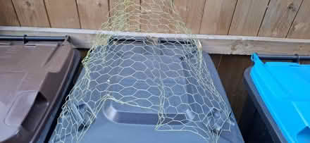 Photo of free Chicken wire (Harrogate HG1) #2